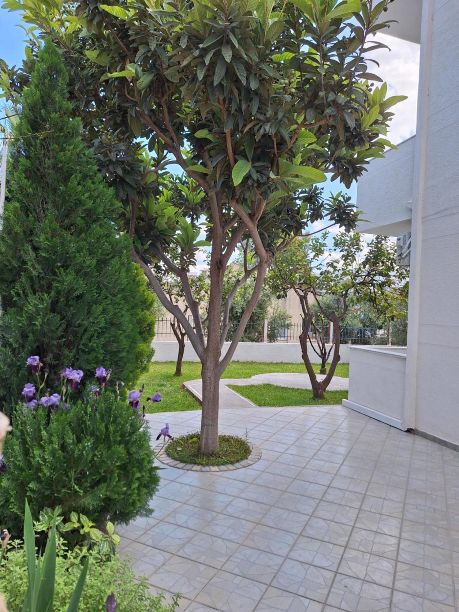 Vila Anxhelo Ksamil Dış mekan fotoğraf
